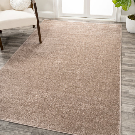 Haze-Solid-Sleek-Low-Pile-Area-Rug--11-Colors-Available-Area-Rugs