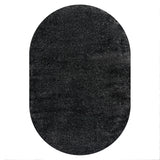 Haze Solid Sleek Low-Pile Oval Area Rug