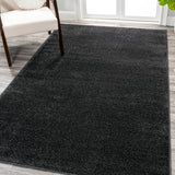 Haze Solid Sleek Low-Pile Area Rug- 11 Colors Available
