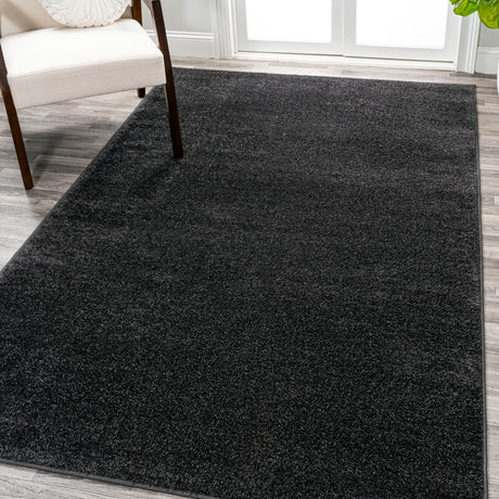 Haze Solid Sleek Low-Pile Area Rug- 11 Colors Available