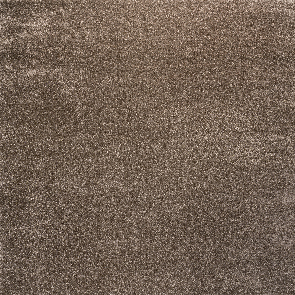 Haze Solid Sleek Low-Pile Square Area Rug