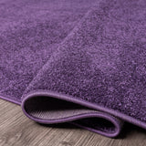 Haze Solid Unique Low-Pile Oval Area Rug