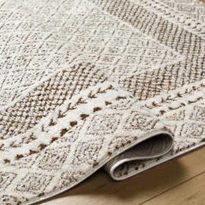 Julio Scandi Boho Area Rug - Brown