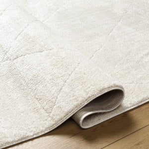 Keone Ivory Area Rug