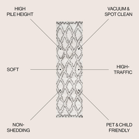 Soller Diamond Trellis Shag Runner Rug