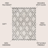 Soller Diamond Trellis Shag Area Rug