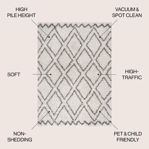 Soller Diamond Trellis Shag Area Rug