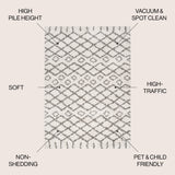 Algaida Moroccan Diamond Shag Area Rug