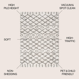 Algaida Moroccan Diamond Shag Area Rug
