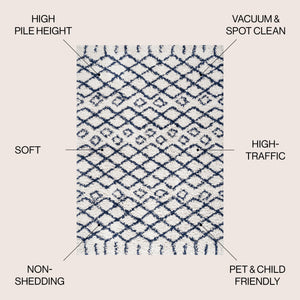 Algaida Moroccan Diamond Shag Area Rug