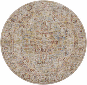 Alois Rust Rich Textured Traditional Rug