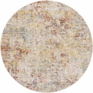 Chas Tan Rich Textured Traditional Rug