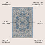 Sinjuri Medallion Textured Weave Indoor/Outdoor Area Rug