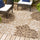 Zinnia-Modern-Floral-Textured-Weave-Indoor/Outdoor-Area-Rug-Area-Rugs