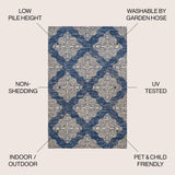 Tuscany Ornate Medallions Indoor/Outdoor Area Rug