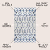 Boho Moroccan Indoor/Outdoor Area Rug