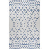 Boho Moroccan Indoor/Outdoor Area Rug