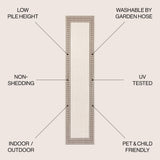 Lucia Classic Diamond Border Indoor/Outdoor Runner Rug