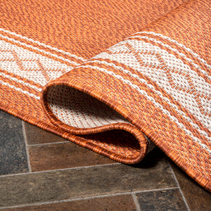 Lucia Classic Diamond Border Indoor/Outdoor Runner Rug