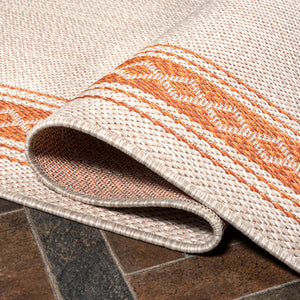 Lucia Classic Diamond Border Indoor/Outdoor Runner Rug