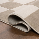 Thea Modern Geometric Checkerboard High-Low Area Rug
