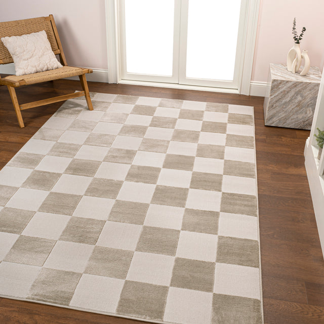 Thea-Modern-Geometric-Checkerboard-High-Low-Area-Rug-Area-Rugs