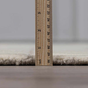 Fusao Off White Area Rug