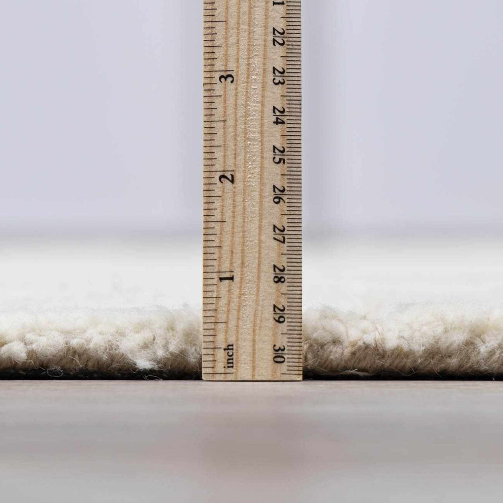 Fusao Beige Area Rug