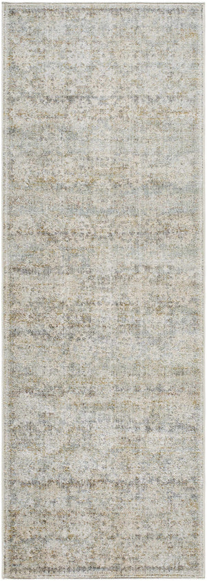 Itzel Area Rug - Clearance
