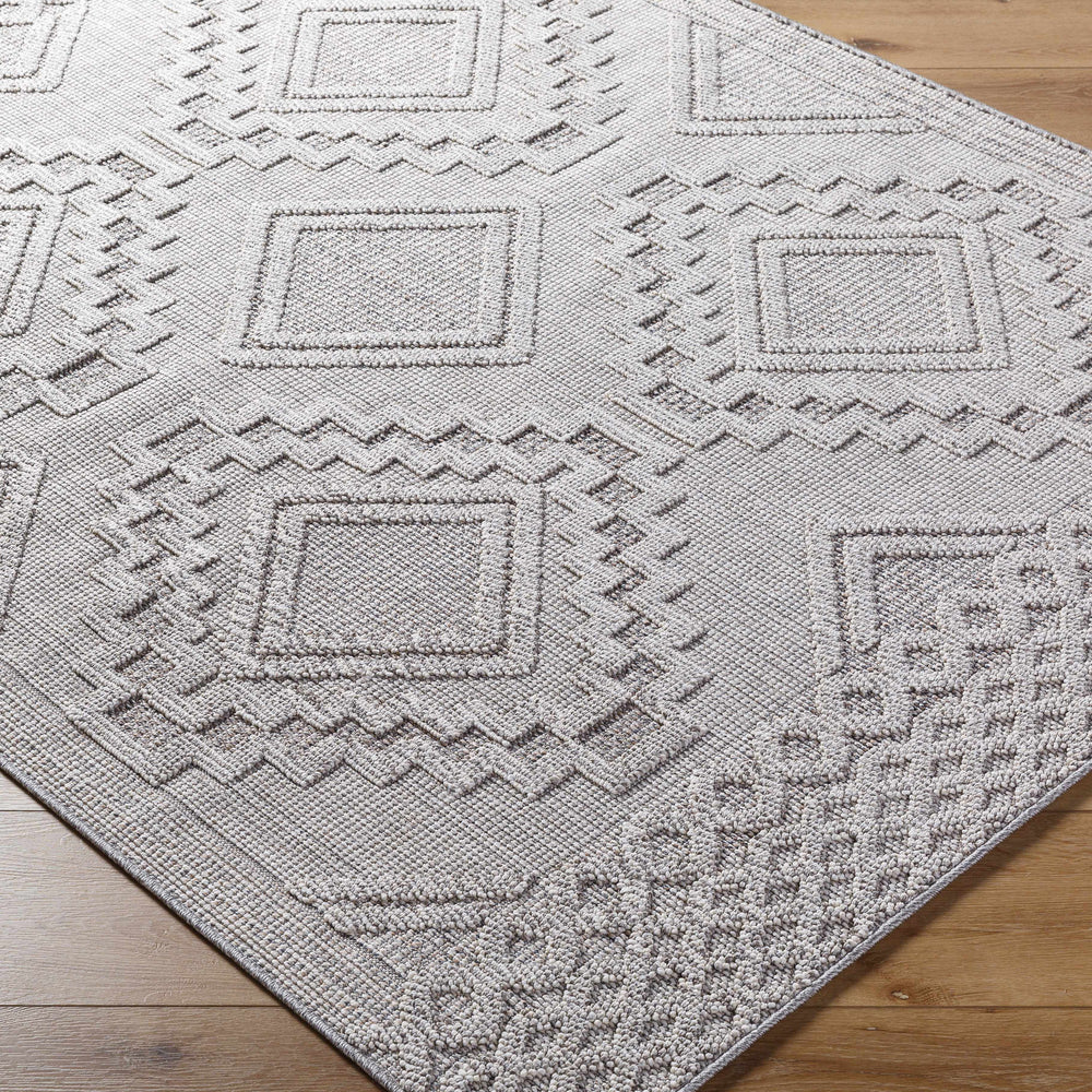 Arwid Light Gray Area Rug