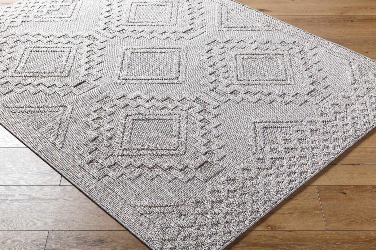 Arwid Light Gray Area Rug