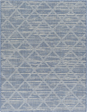 Ivora Blue Outdoor Area Rug - Clearance