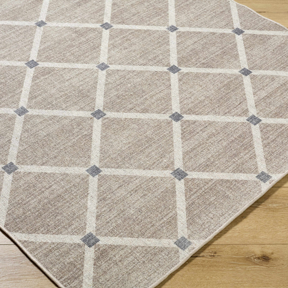 Alpana Washable Wool Area Rug