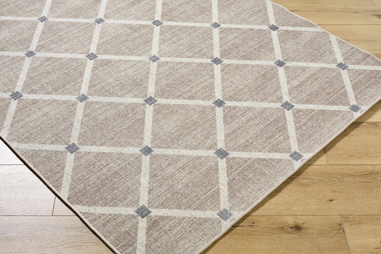 Alpana Washable Wool Area Rug
