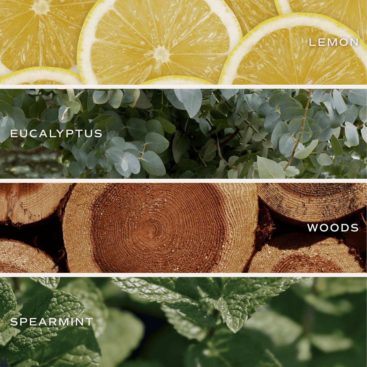 Stress Relief Soy Candle - Tinted Glass Jar - 12 oz