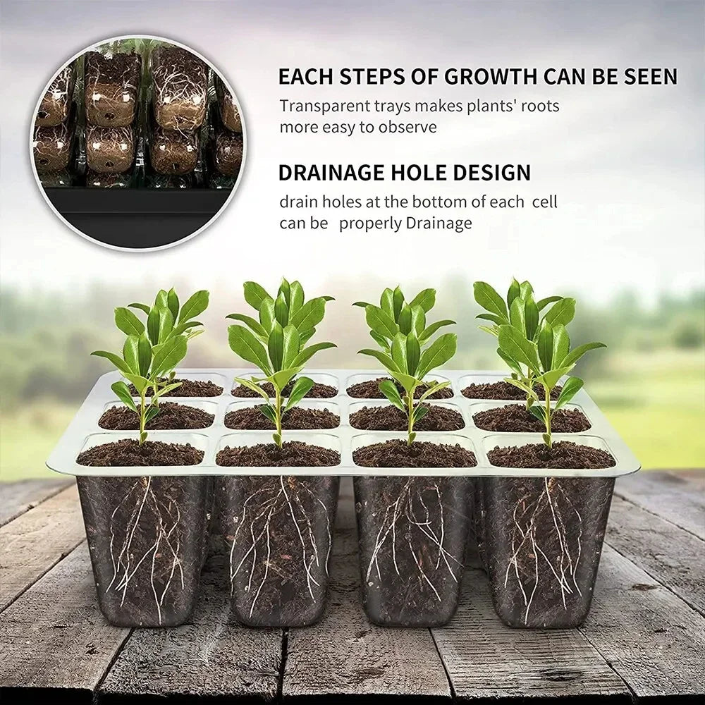 LED Grow Light Seed Starter Kit with Trays Full Spectrum Germination 12 Cell