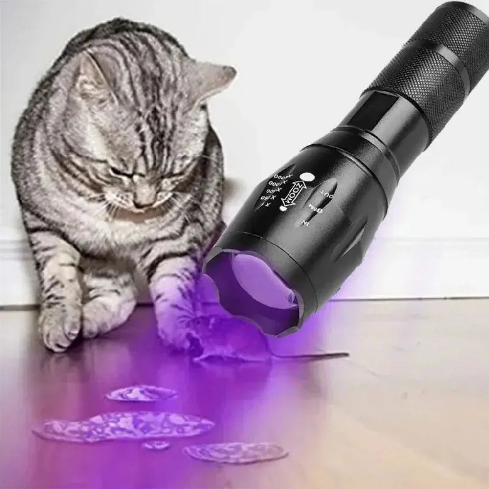 2 in 1 UV Flashlight 395nm Type C Rechargeable Blacklight Pet Stain Detection