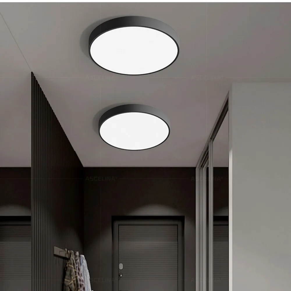 Modern Minimalist Round LED Ceiling Light 1-Light Indoor Hardwired