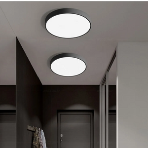 Modern Minimalist Round LED Ceiling Light 1-Light Indoor Hardwired