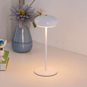 Rechargeable LED Desk Lamp Romantic Ambient Night Light Bedside Outdoor