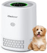 Air Purifier for Bedroom Home with HEPA Filter Smoke Allergies Pet Odor Dust