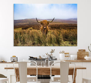 Scottish Highland Cow Cattle Art Canvas Print Farmhouse Wall