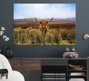 Scottish Highland Cow Cattle Art Canvas Print Farmhouse Wall