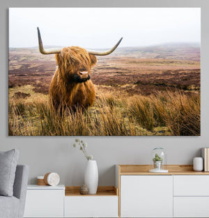 Scottish Highland Cow Cattle Art Print Farmhouse Wall Art