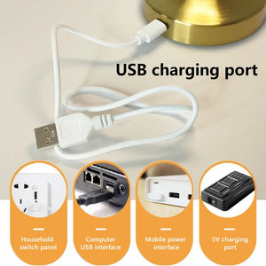 LED Metal Touch Table Lamp Rechargeable Night Light for Bar Coffee Table Decor