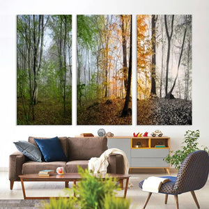 Seasonal Forest Canvas Wall Art Print - Changing Seasons in