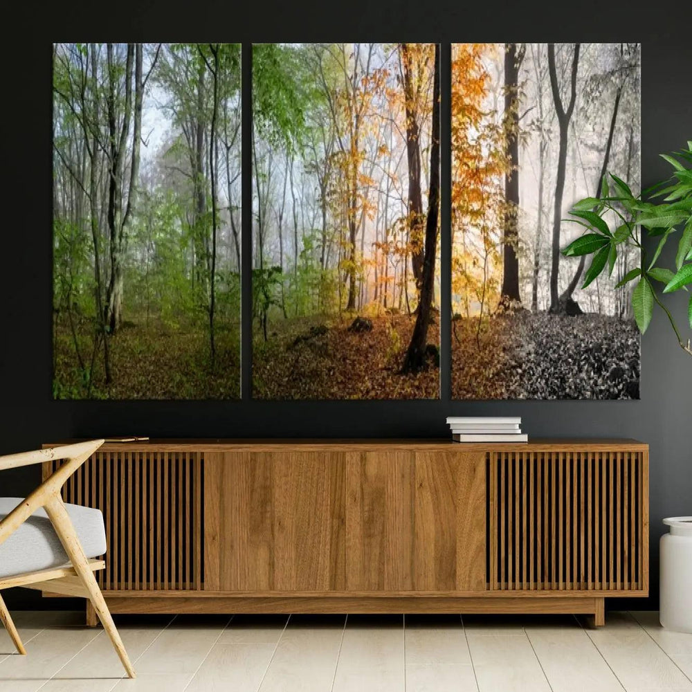 Seasonal Forest Canvas Wall Art Print - Changing Seasons in