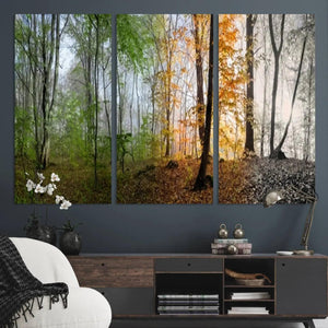 Seasonal Forest Canvas Wall Art Print - Changing Seasons in