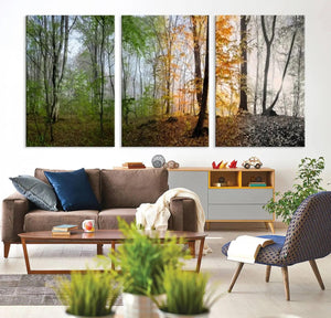 Seasonal Forest Canvas Wall Art Print - Changing Seasons in