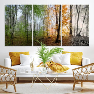 Seasonal Forest Canvas Wall Art Print - Changing Seasons in
